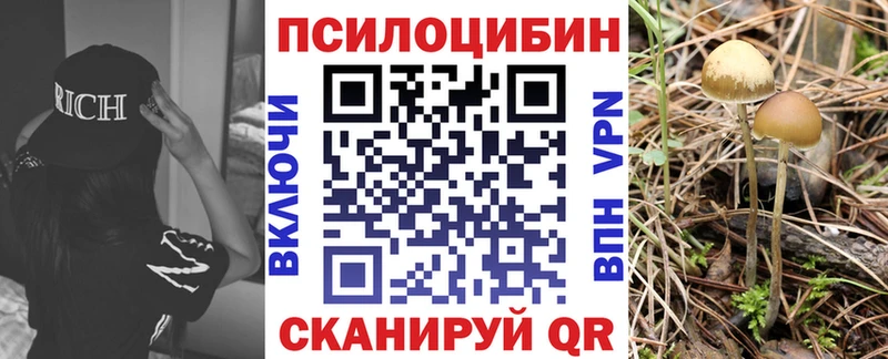 Галлюциногенные грибы Psilocybe  наркота  Юхнов 